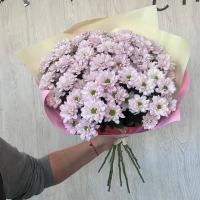 фото Монобукет из кустовых хризантем 11 штук