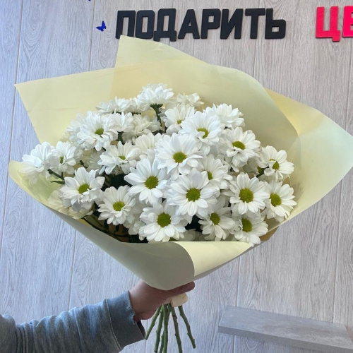фото Монобукет из кустовых хризантем 11 штук