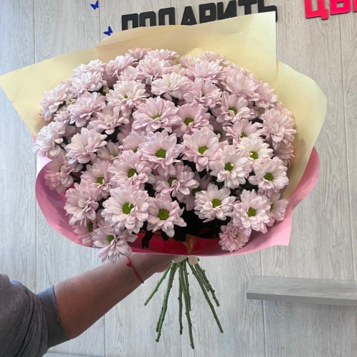 фото Монобукет из кустовых хризантем 11 штук